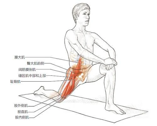 篮球训练脚步垫子_1